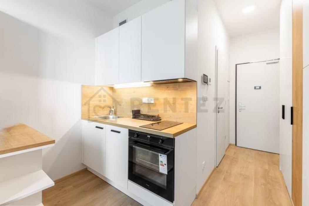 Mymozart Lux With Parking Included Prag